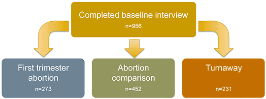 Study groups in ANSIRH's Turnaway Study